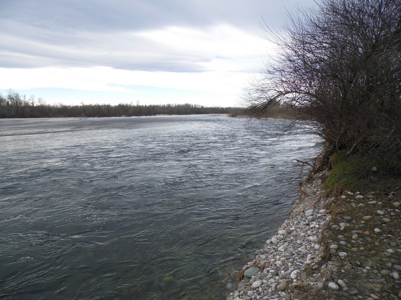 Qualche panorama del fiume Ticino